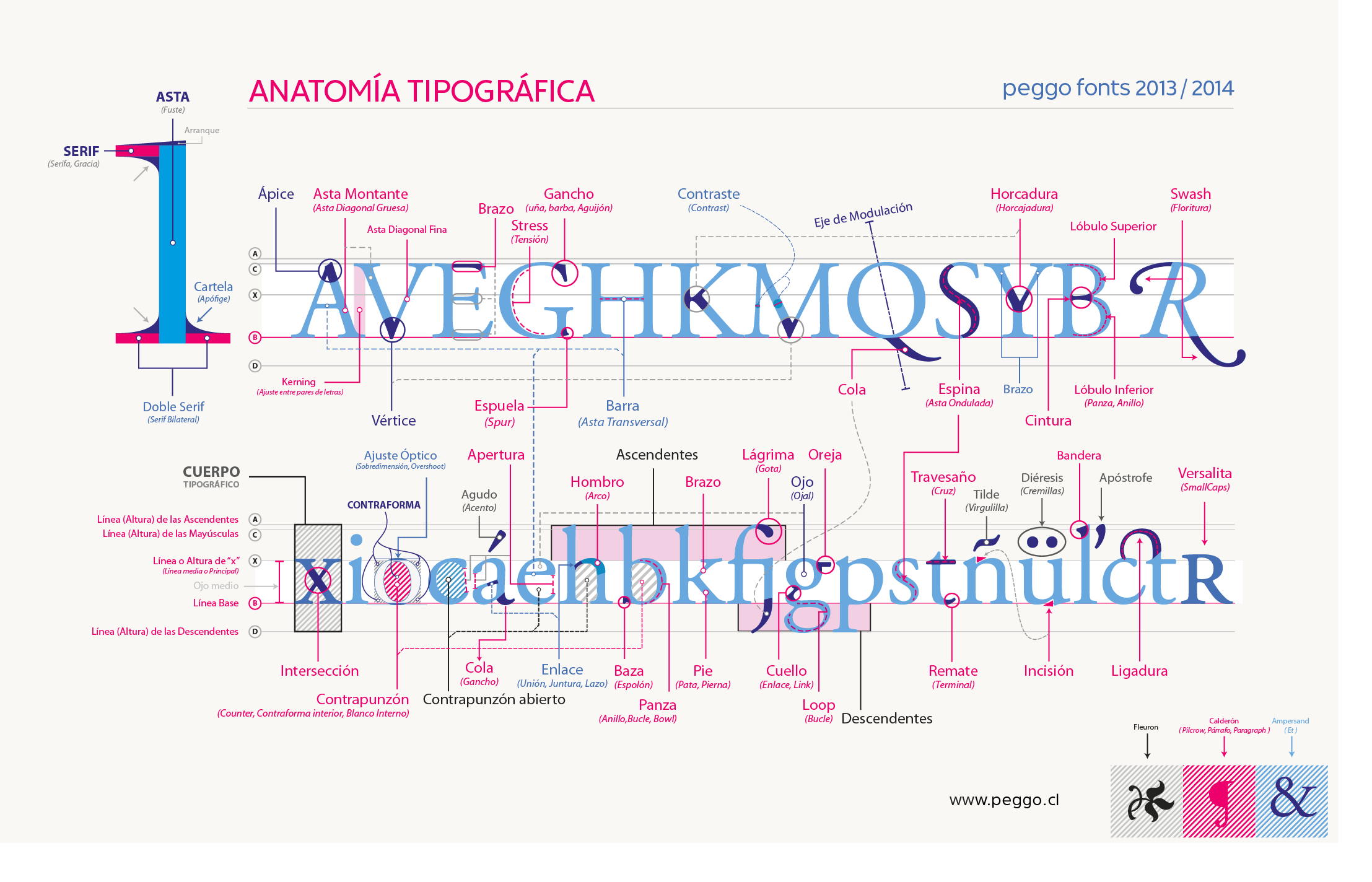 “Anatomía Tipográfica” de Pedro González (Peggo Fonts)